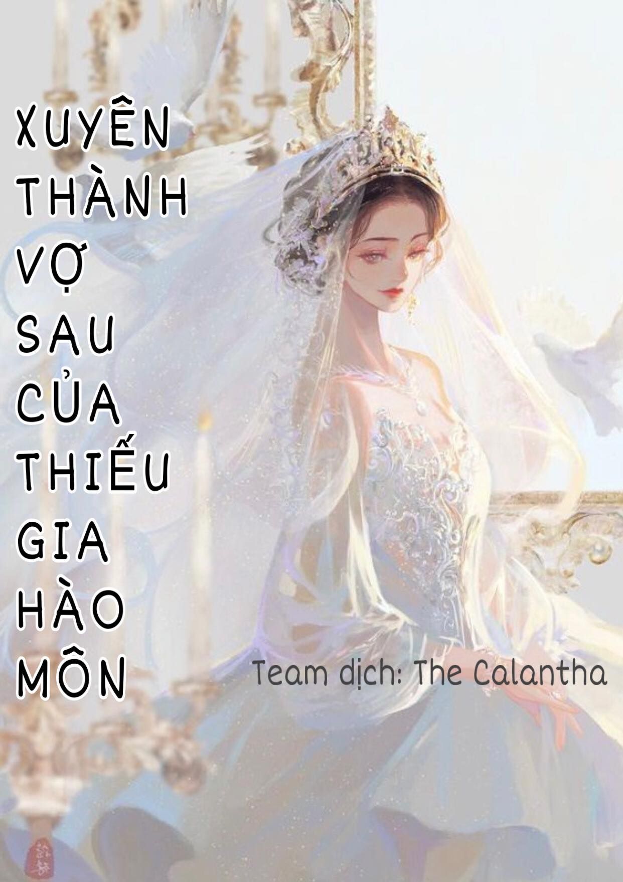 Xuyên Thành Vợ Sau Của Thiếu Gia Hào Môn