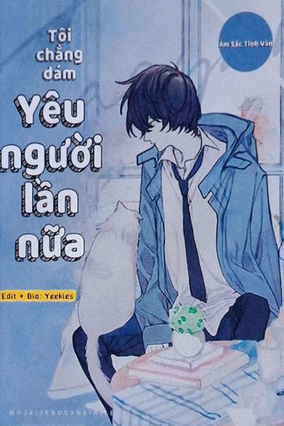 Tôi Chẳng Dám Yêu Người Lần Nữa