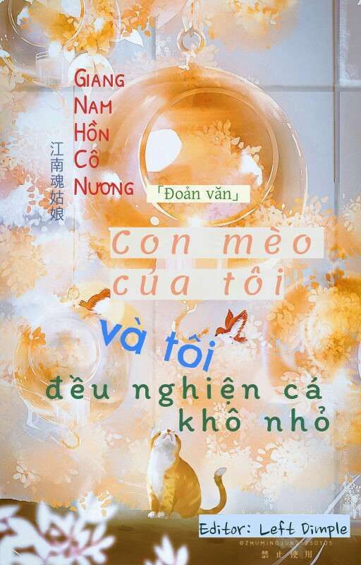 Con Mèo Của Tôi Và Tôi Đều Nghiện Cá Khô Nhỏ