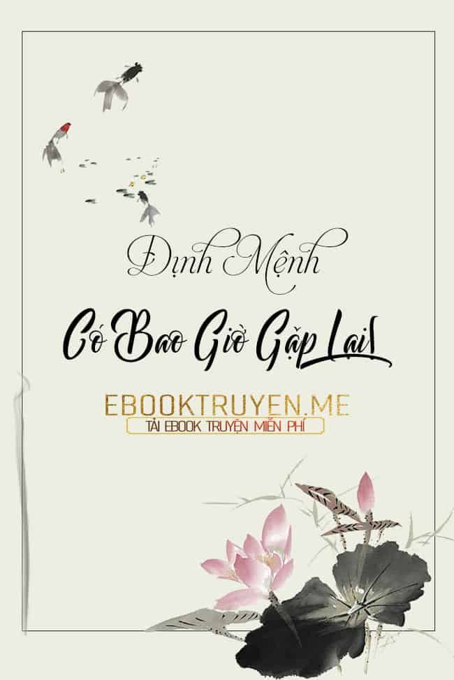 Định Mệnh, Có Bao Giờ Gặp Lại!