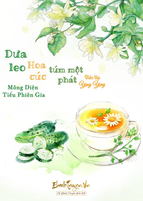 Dưa Leo Hoa Cúc Túm Một Phát