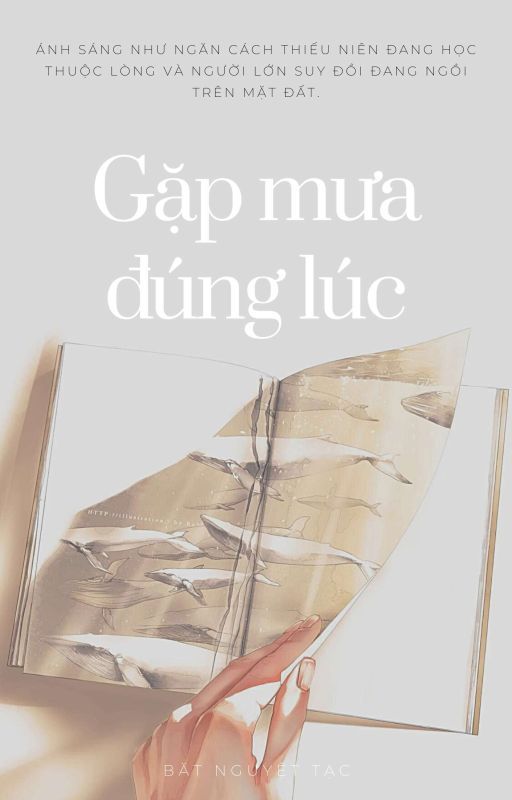 Gặp Mưa Đúng Lúc