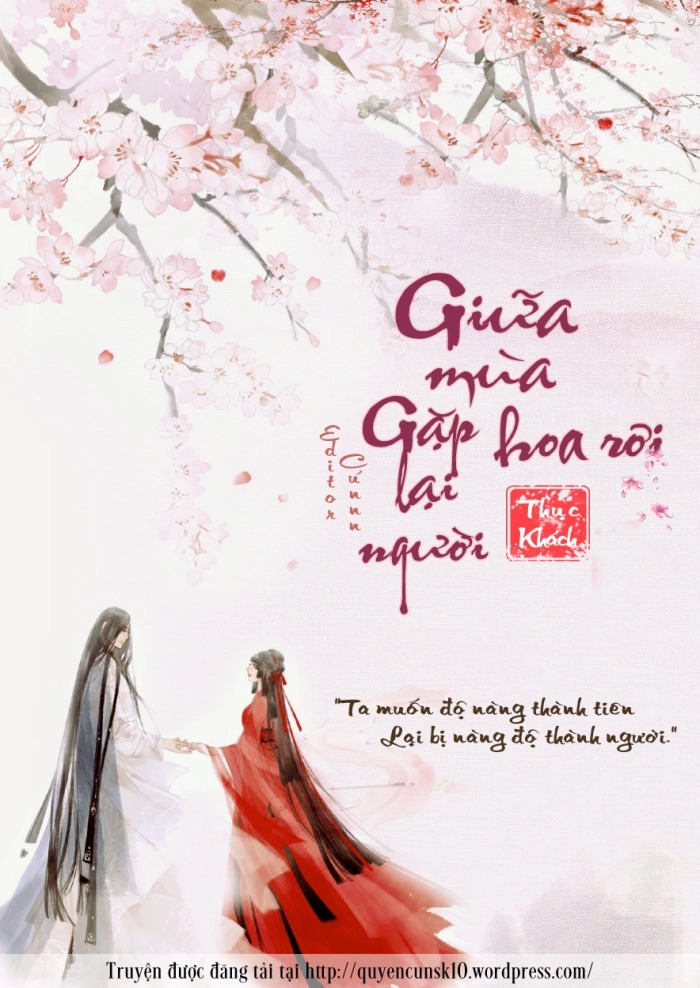 Giữa Mùa Hoa Rơi Gặp Lại Người