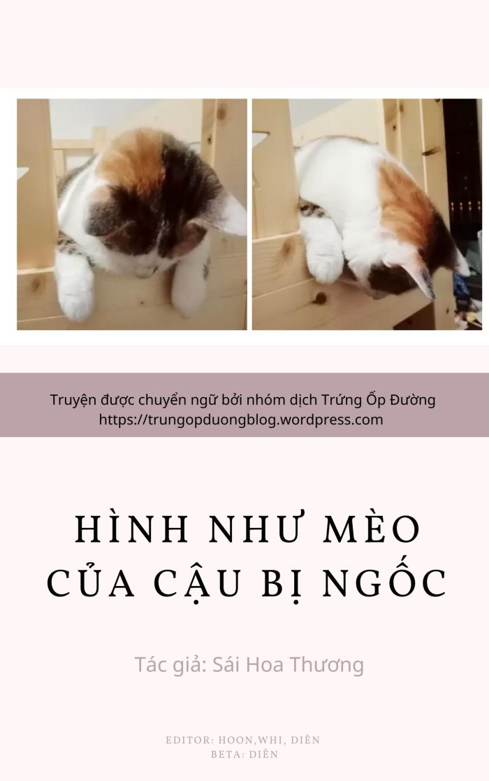 Hình Như Mèo Của Cậu Bị Ngốc