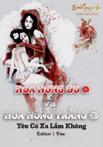 Hoa Hồng Đỏ Và Hoa Hồng Trắng