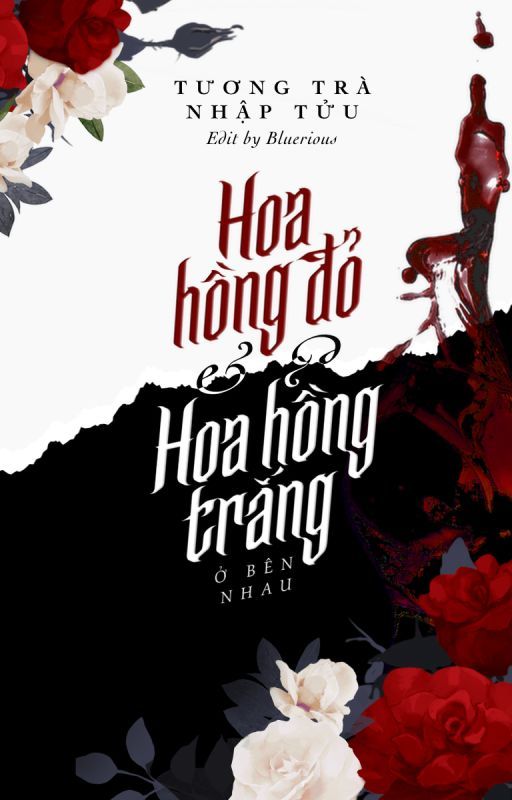 Hoa Hồng Đỏ Và Hoa Hồng Trắng Ở Bên Nhau