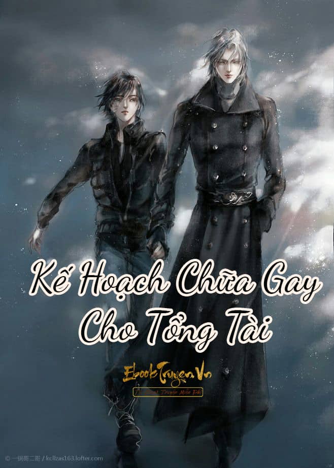 Kế Hoạch Chữa Gay Cho Tổng Tài