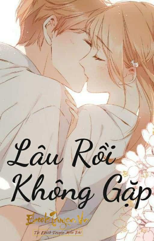 Lâu Rồi Không Gặp - Bắc Nam