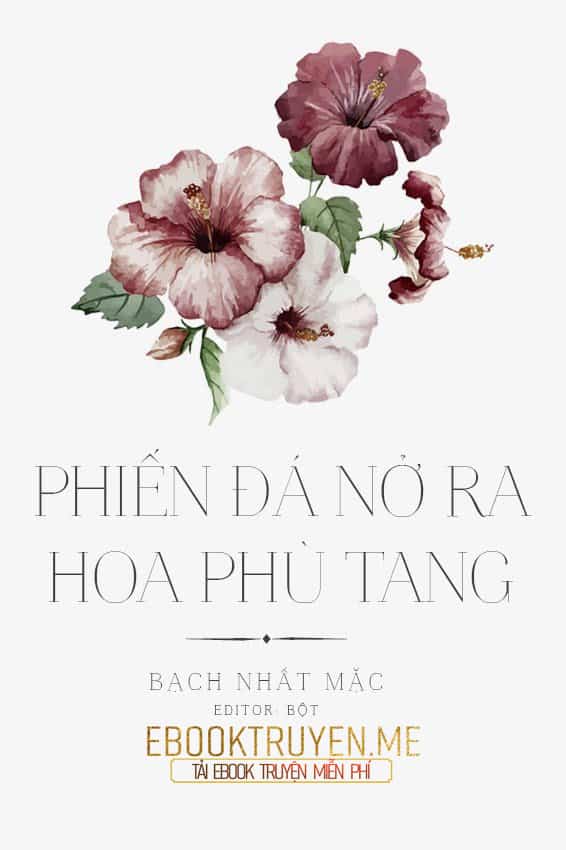 Phiến Đá Nở Ra Hoa Phù Tang