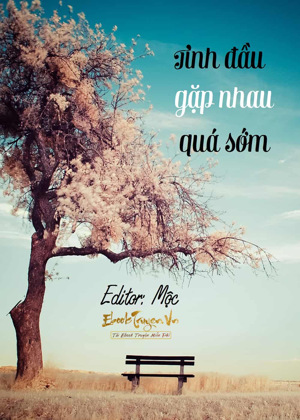 Tình Đầu Gặp Nhau Quá Sớm