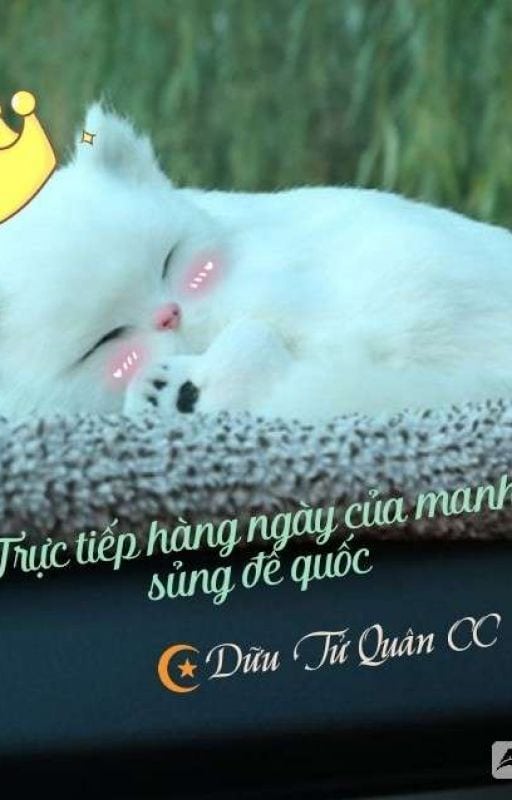 Trực Tiếp Hàng Ngày Của Manh Sủng Đế Quốc