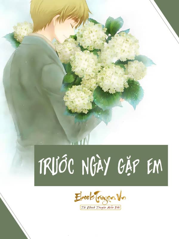 Trước Ngày Gặp Em